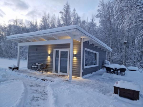 Small house with sauna
